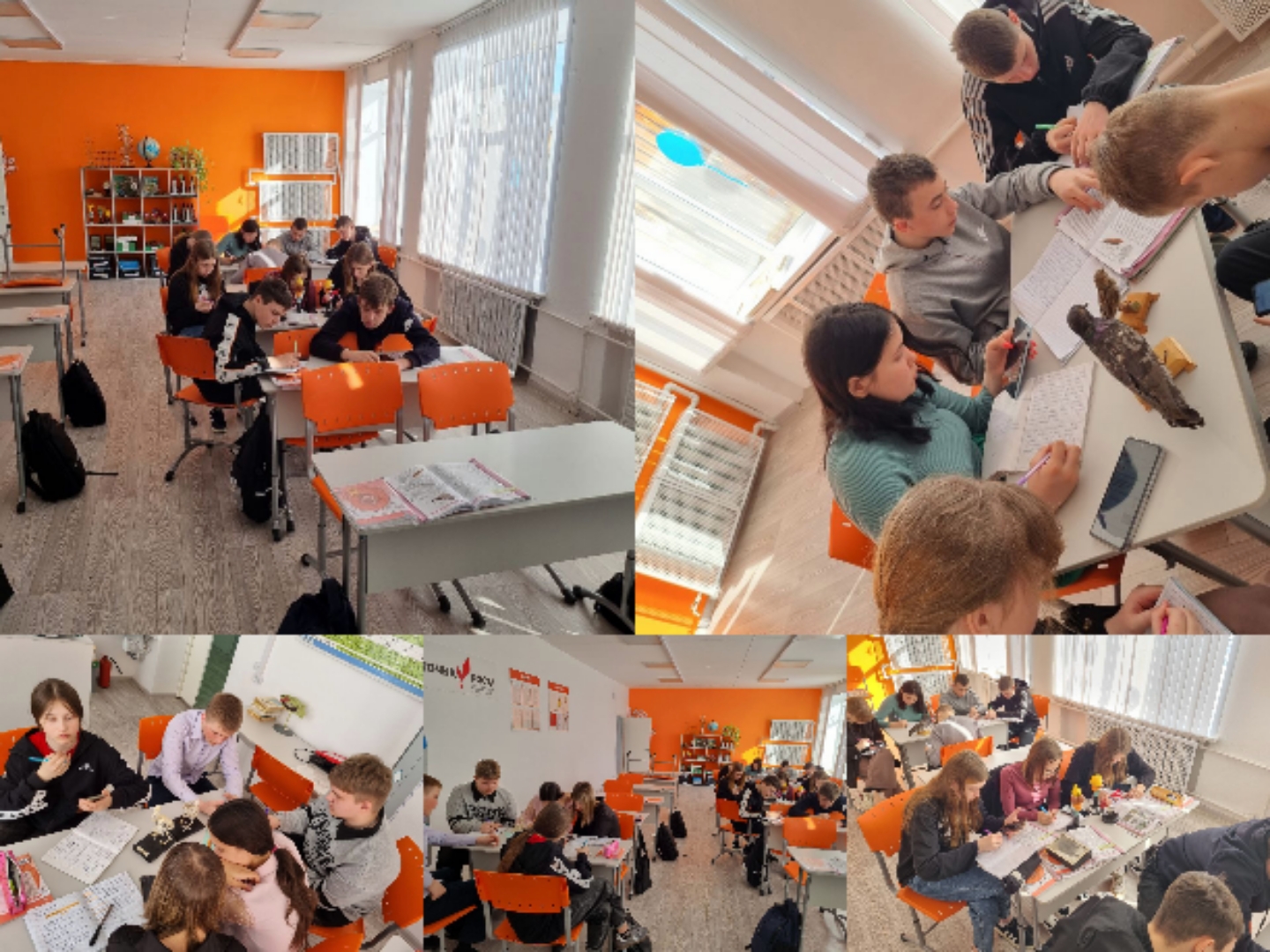 https://school-orly.3dn.ru/4.04.jpg